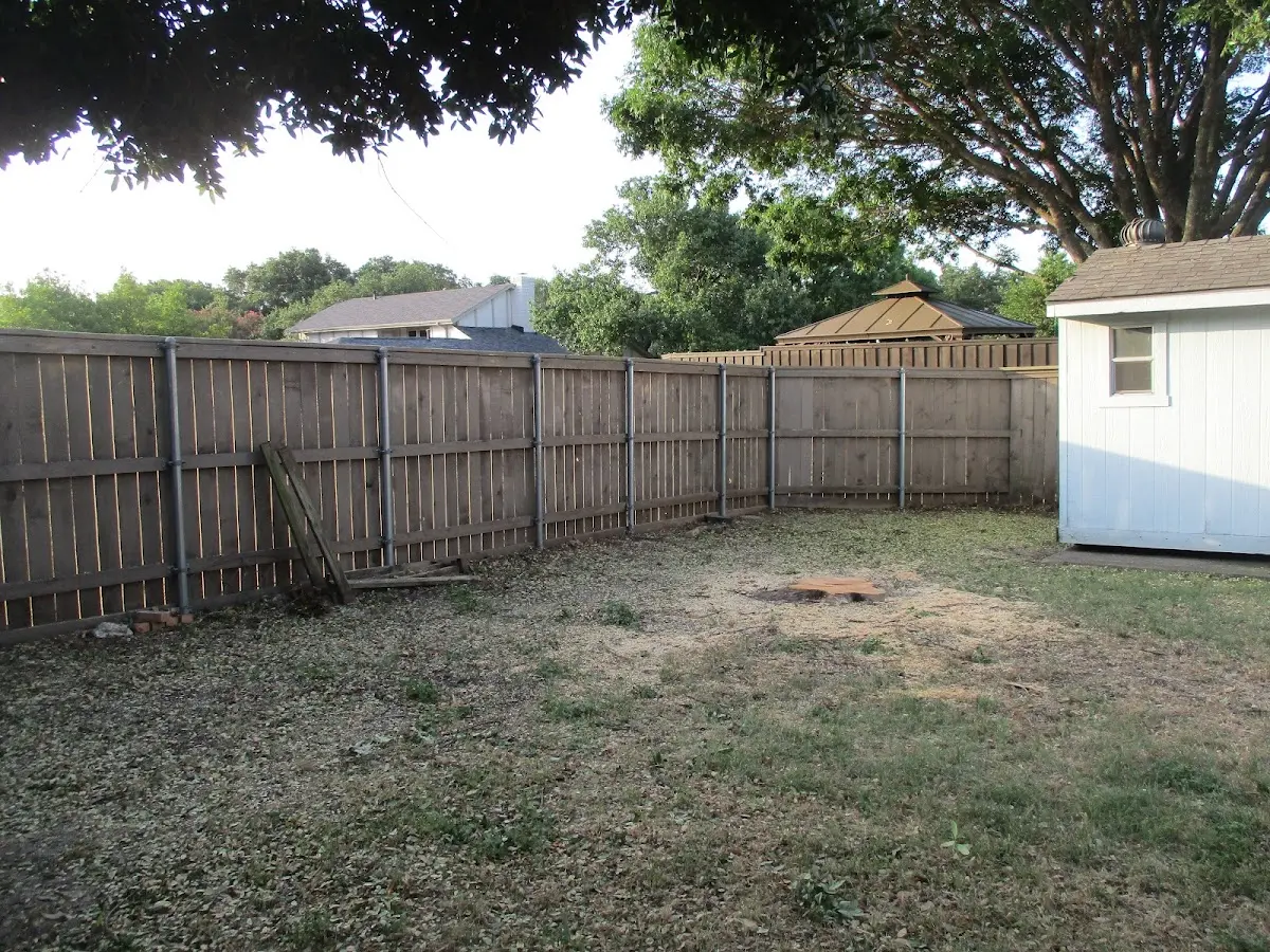 Cleared yard after professional tree removal in Napavine